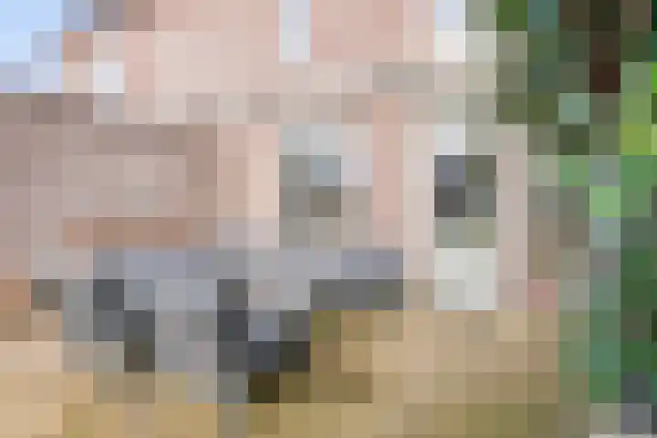 Languedoclaan 51 Eindhoven thumbnail 46