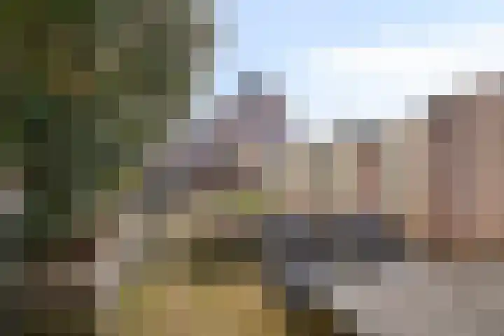 Languedoclaan 51 Eindhoven thumbnail 5