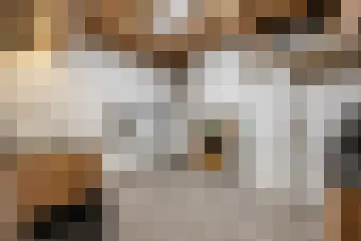 Langveld 2 Bergeijk thumbnail 13