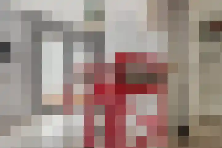 Langveld 2 Bergeijk thumbnail 17