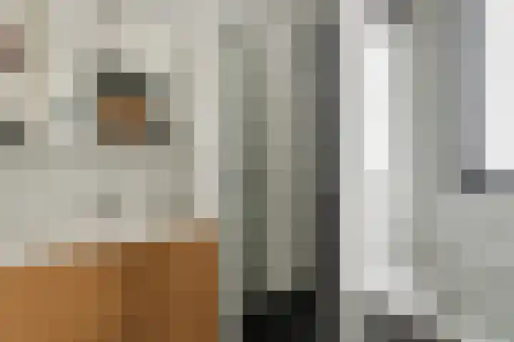 Langveld 2 Bergeijk thumbnail 20