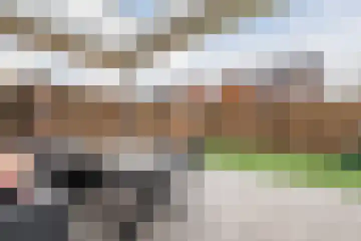 Langveld 2 Bergeijk thumbnail 30
