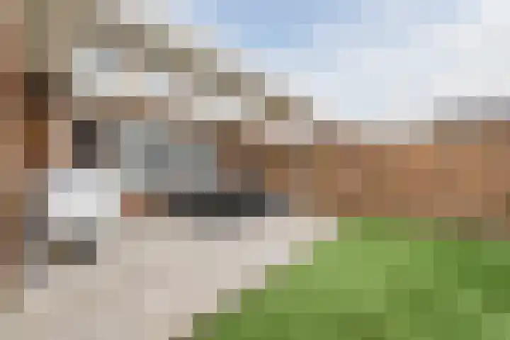 Langveld 2 Bergeijk thumbnail 31