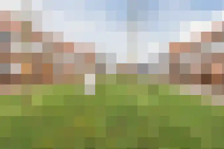 Langveld 2 Bergeijk thumbnail 35