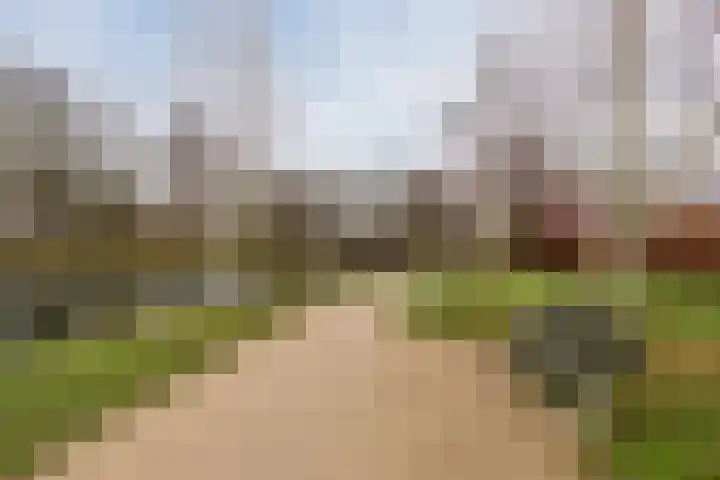 Langveld 2 Bergeijk thumbnail 38