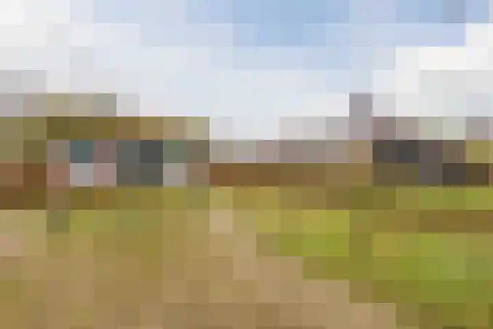 Langveld 2 Bergeijk thumbnail 39