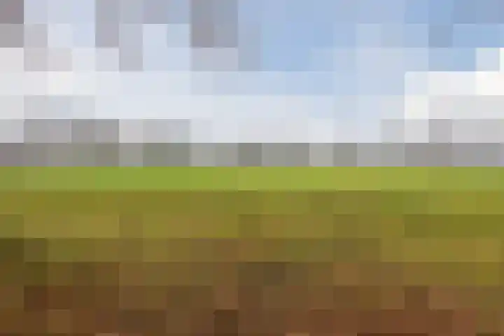 Langveld 2 Bergeijk thumbnail 40