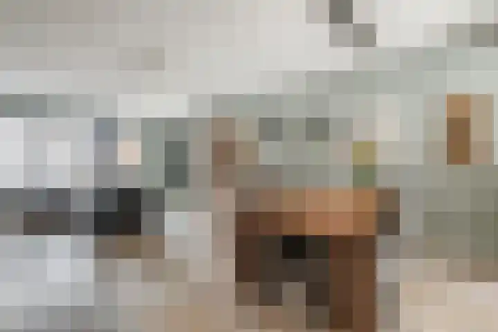 Langveld 2 Bergeijk thumbnail 7
