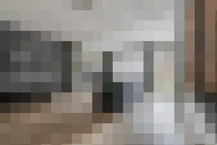 Langveld 2 Bergeijk thumbnail 8