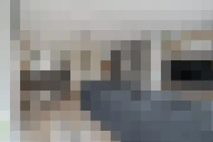 Langveld 2 Bergeijk thumbnail 9