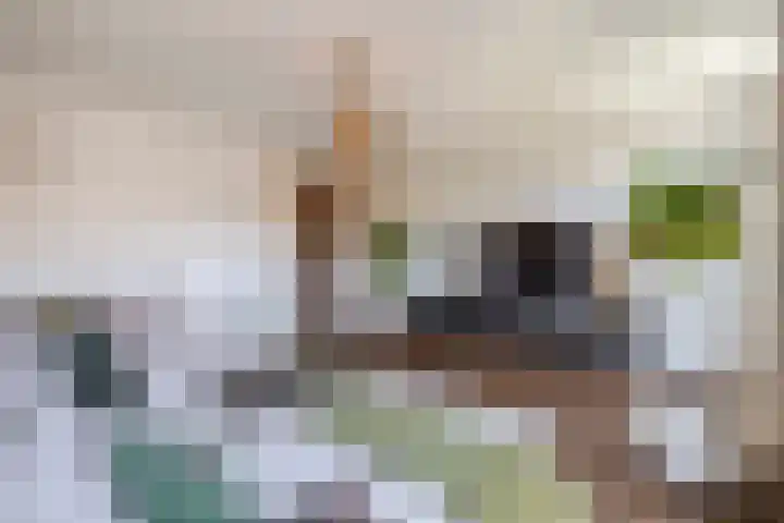 Langveld 20 Meijel thumbnail 11