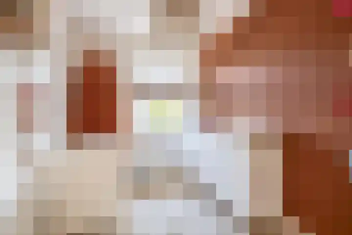 Langveld 20 Meijel thumbnail 25