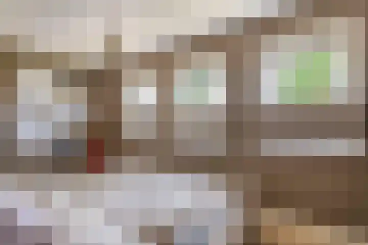 Langveld 20 Meijel thumbnail 28