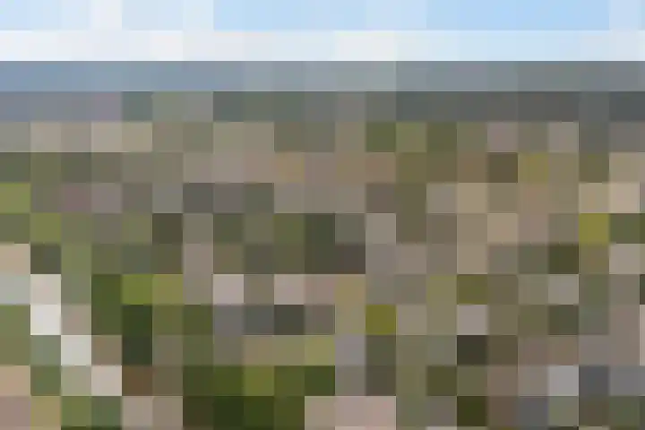Langveld 20 Meijel thumbnail 39