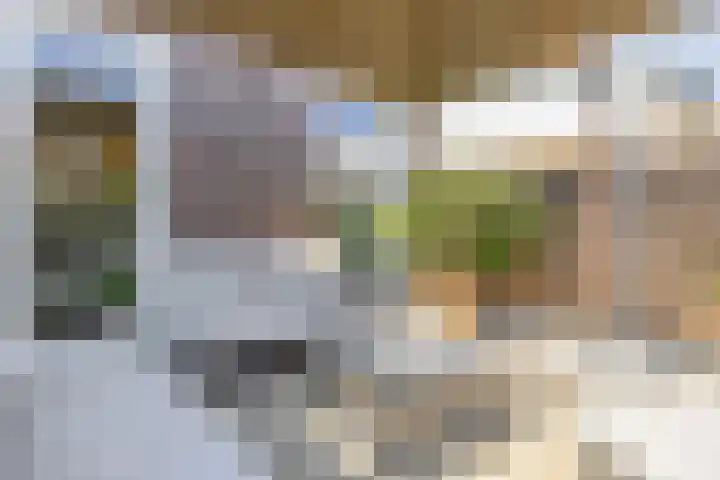 Langveld 20 Meijel thumbnail 39