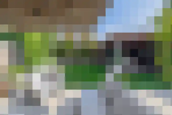Langveld 20 Meijel thumbnail 4