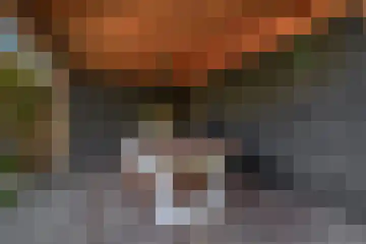 Langveld 20 Meijel thumbnail 44