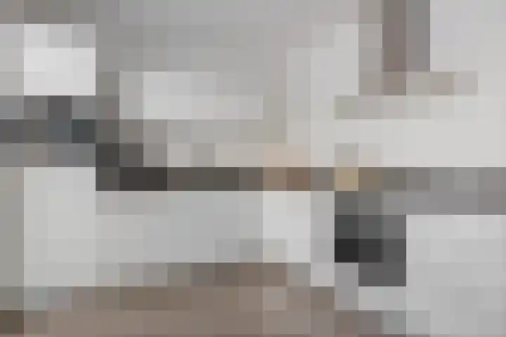 Langveld 22 Meijel thumbnail 16