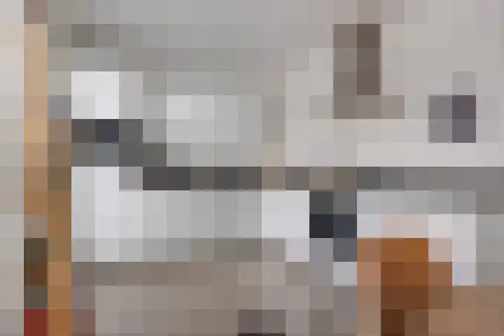 Langveld 22 Meijel thumbnail 17