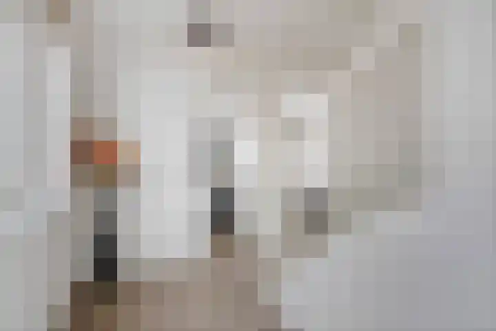 Langveld 22 Meijel thumbnail 21