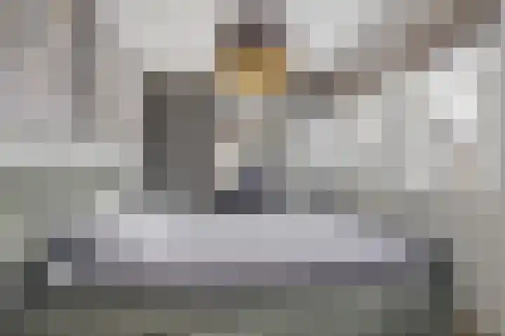 Langveld 22 Meijel thumbnail 22