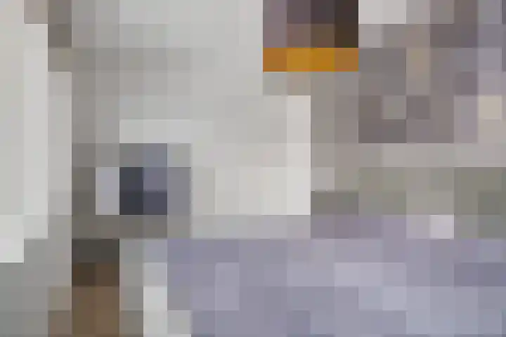 Langveld 22 Meijel thumbnail 24