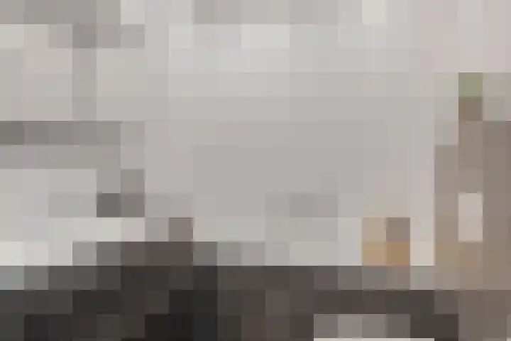 Langveld 22 Meijel thumbnail 29