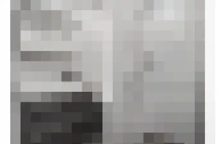 Langveld 22 Meijel thumbnail 31