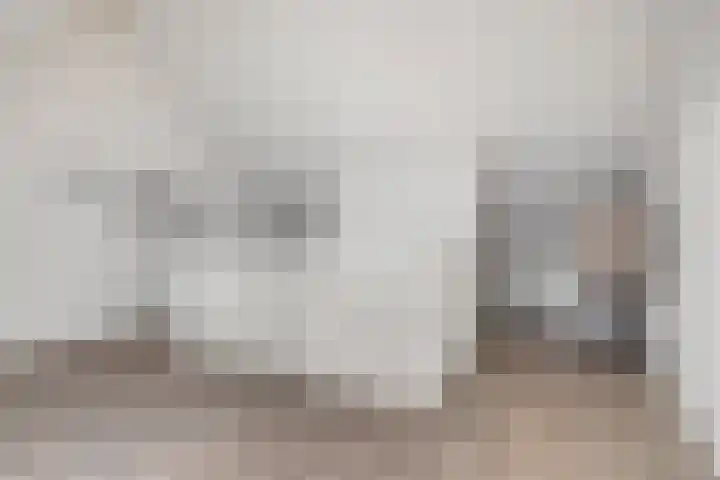 Langveld 22 Meijel thumbnail 33