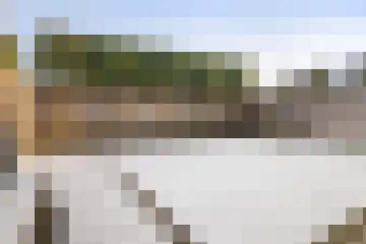Langveld 22 Meijel thumbnail 39