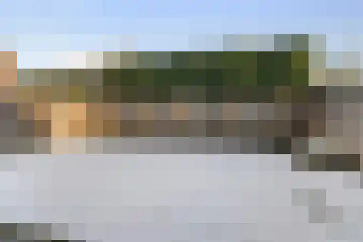 Langveld 22 Meijel thumbnail 40