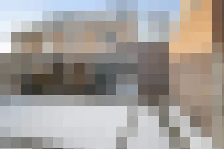 Langveld 22 Meijel thumbnail 43