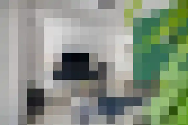 Langveld 22 Meijel thumbnail 8