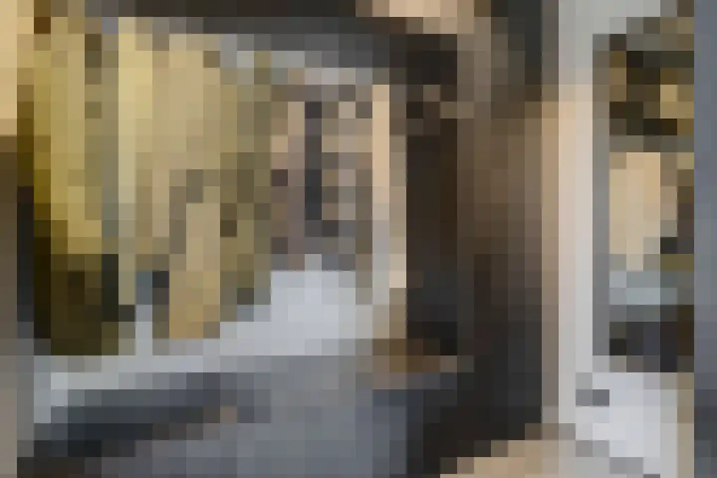 Langveld 34 Meijel thumbnail 15