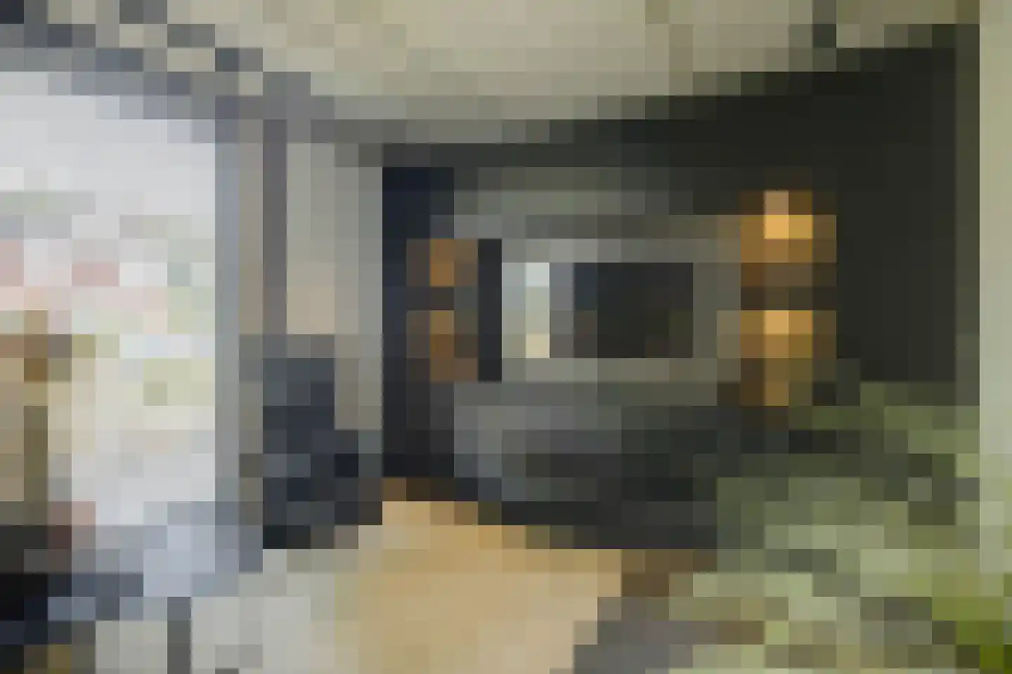 Langveld 34 Meijel thumbnail 18