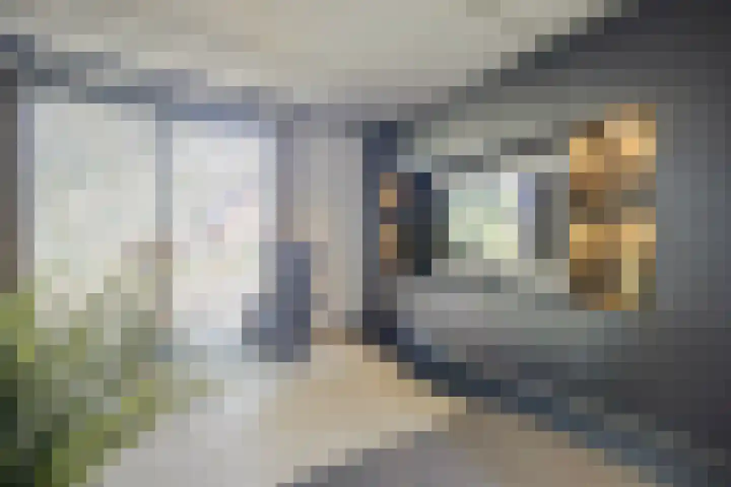 Langveld 34 Meijel thumbnail 21