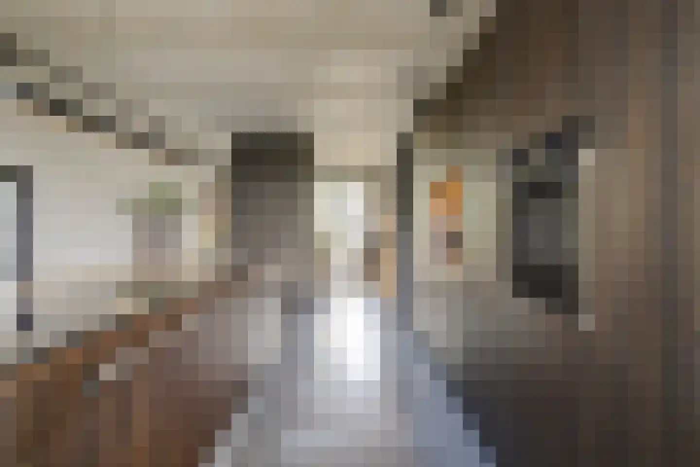 Langveld 34 Meijel thumbnail 24