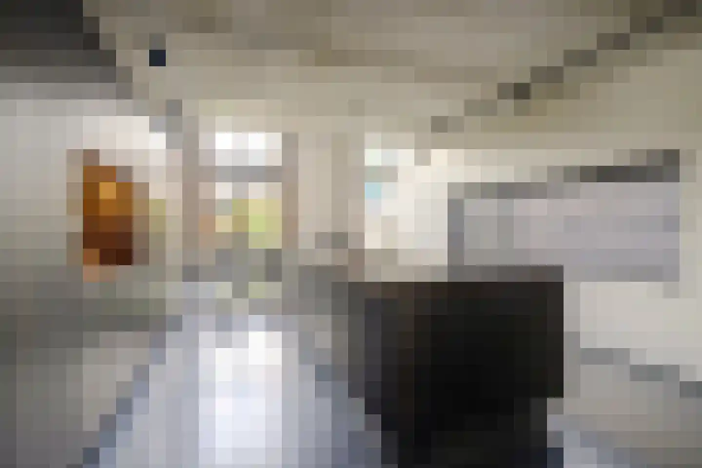 Langveld 34 Meijel thumbnail 26