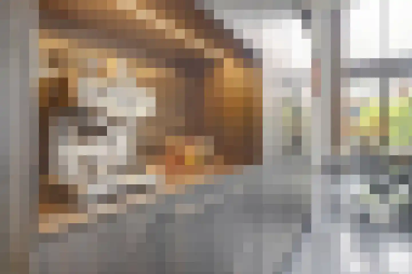 Langveld 34 Meijel thumbnail 28