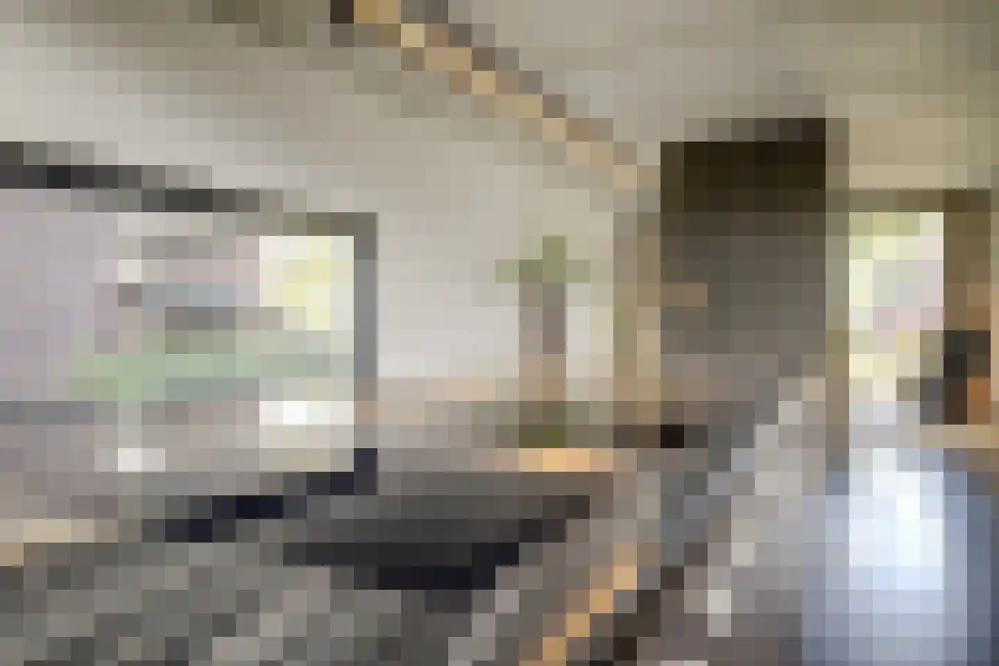 Langveld 34 Meijel thumbnail 29