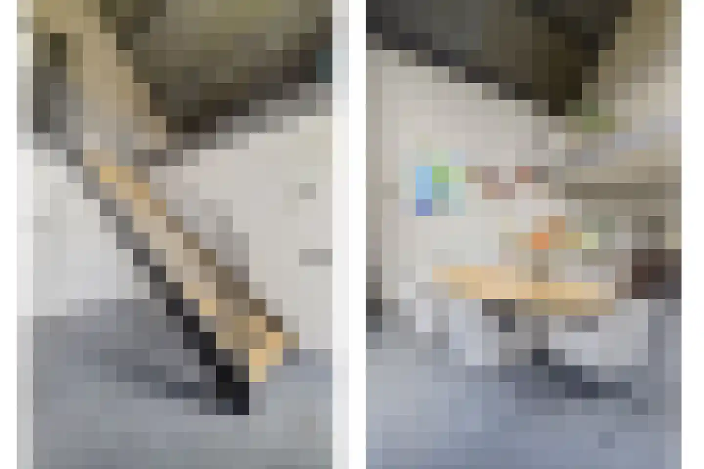 Langveld 34 Meijel thumbnail 33