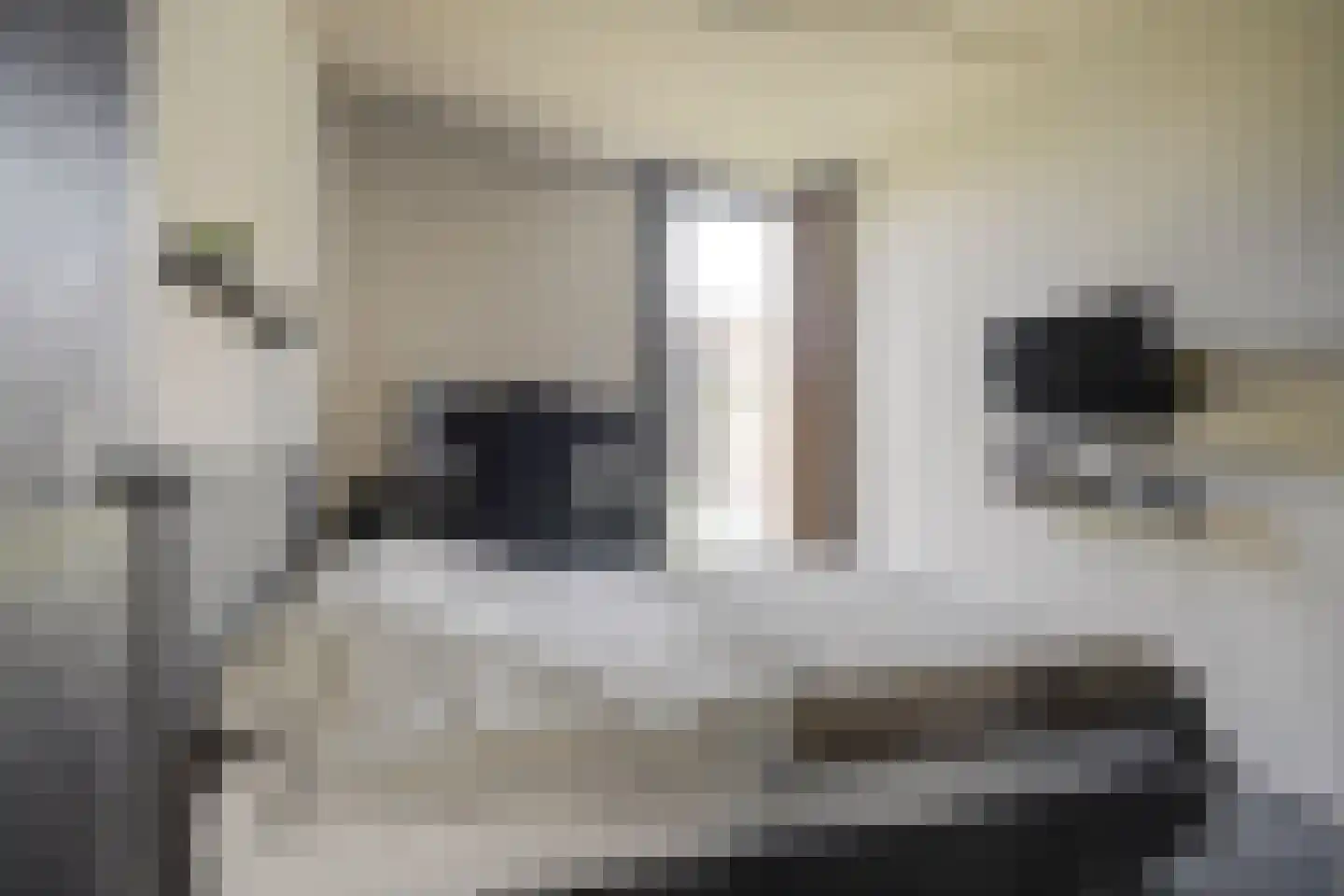 Langveld 34 Meijel thumbnail 36