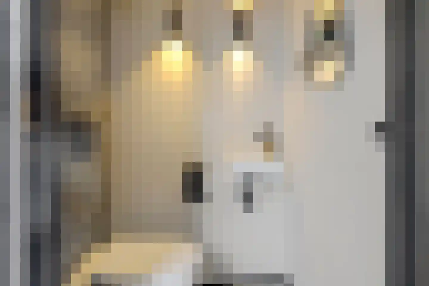 Langveld 34 Meijel thumbnail 37