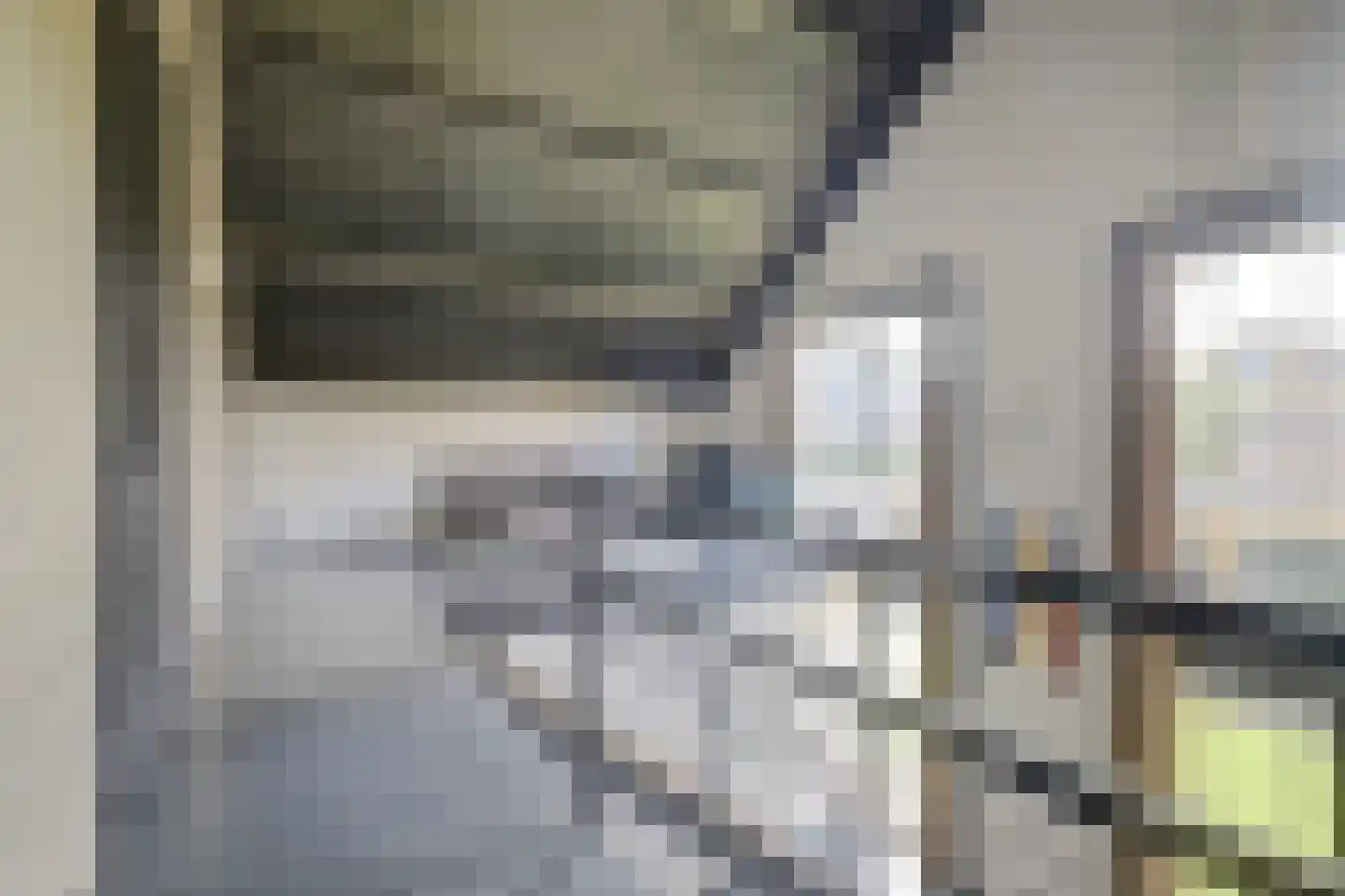 Langveld 34 Meijel thumbnail 39