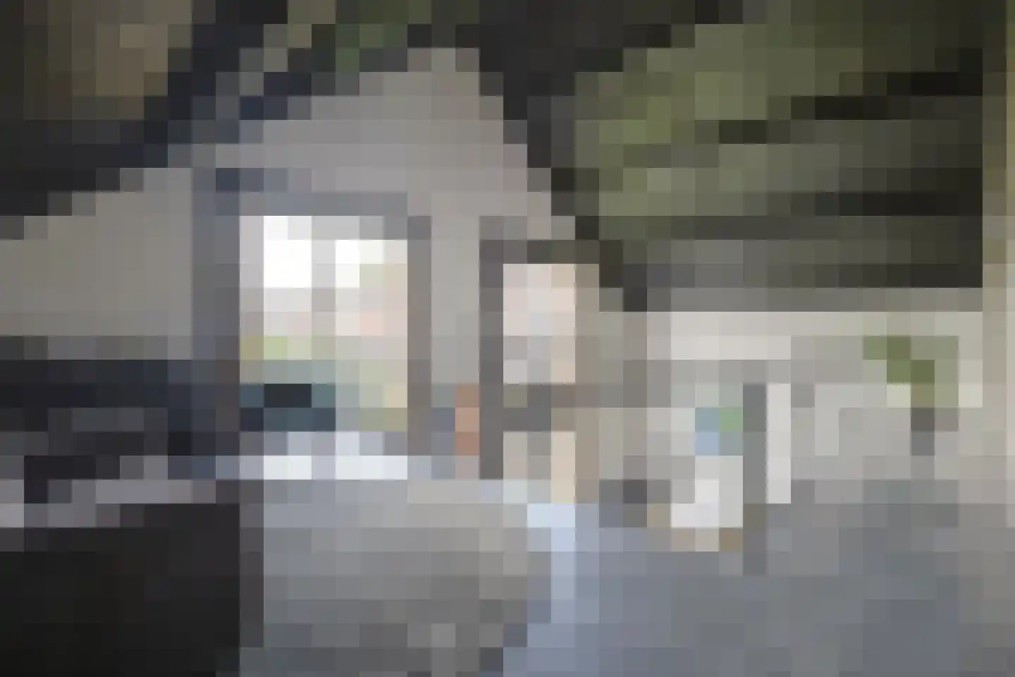 Langveld 34 Meijel thumbnail 41