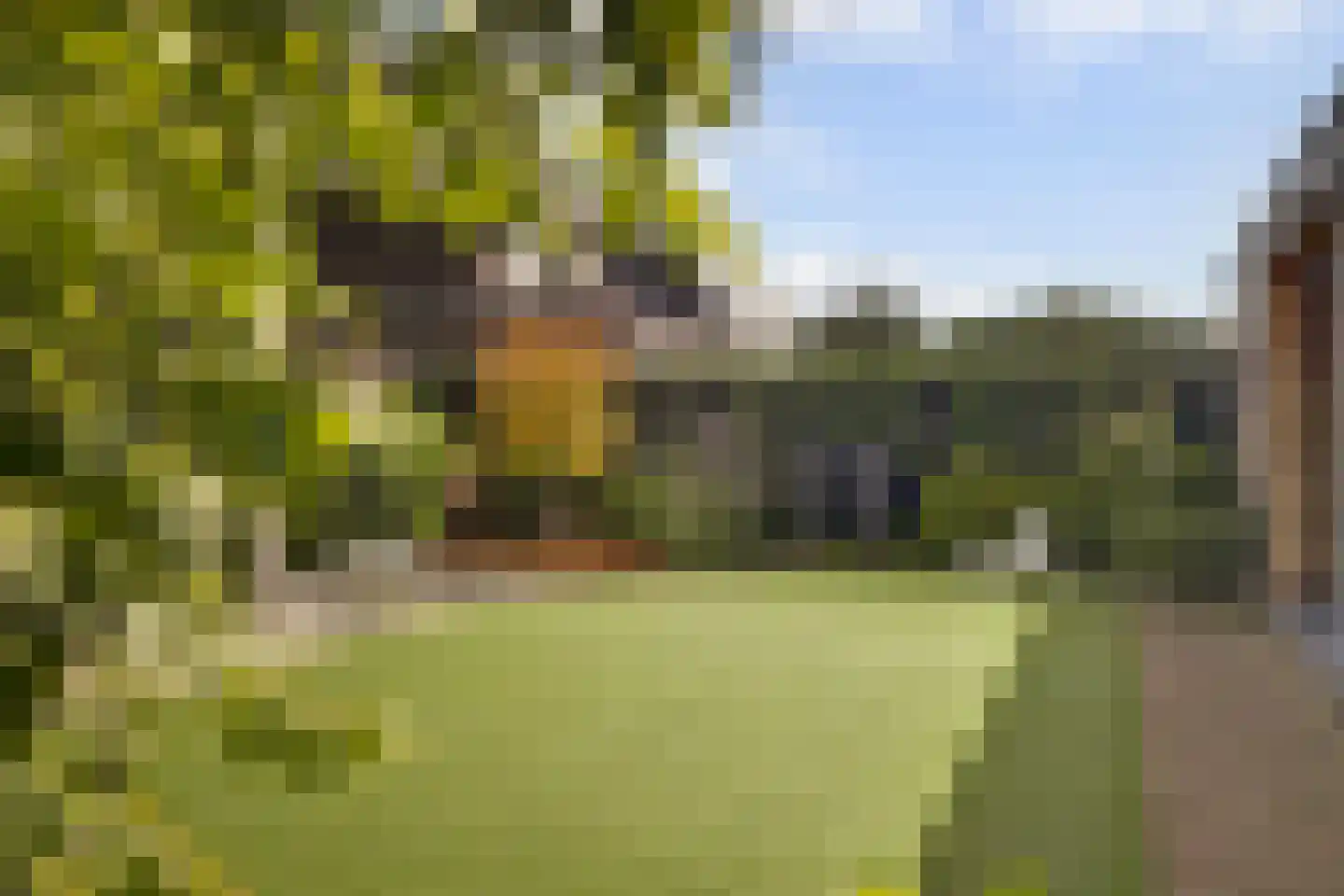 Langveld 34 Meijel thumbnail 56