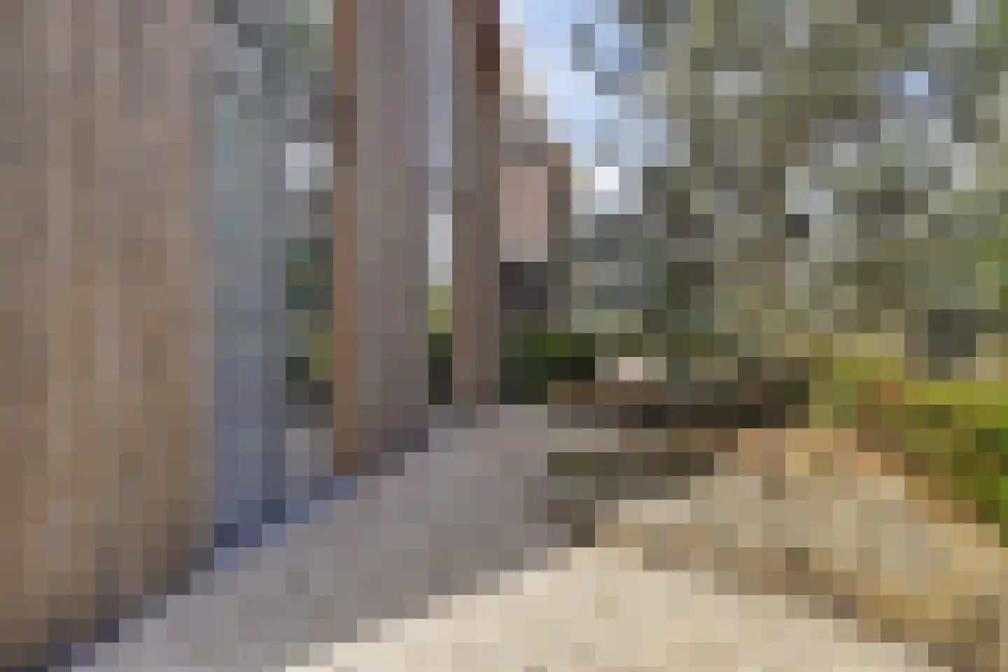 Langveld 34 Meijel thumbnail 6
