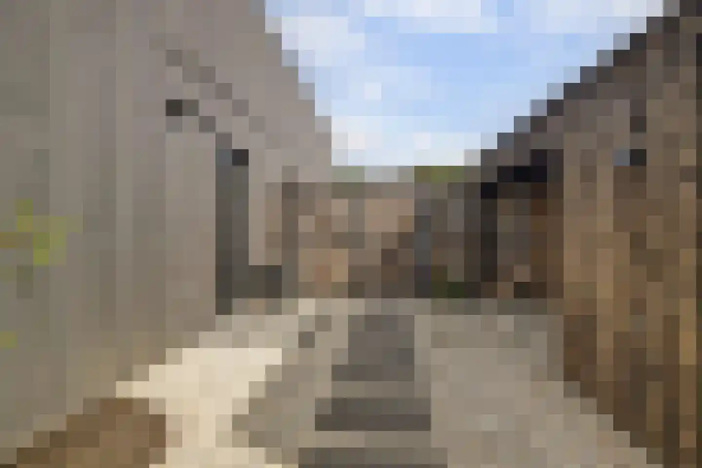 Langveld 34 Meijel thumbnail 61