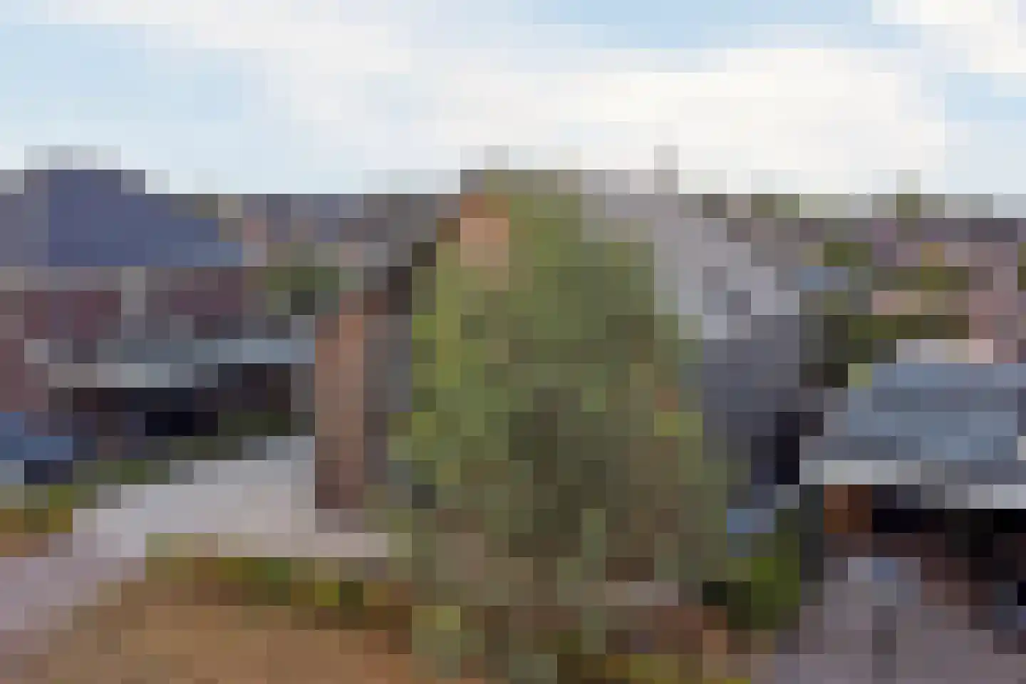 Langveld 34 Meijel thumbnail 64