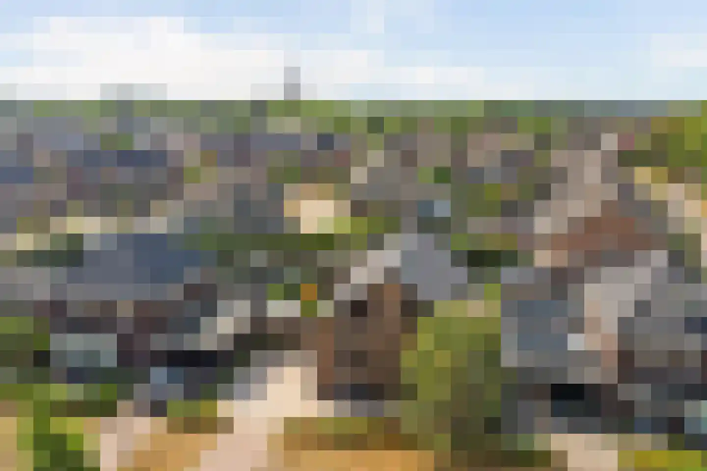 Langveld 34 Meijel thumbnail 67